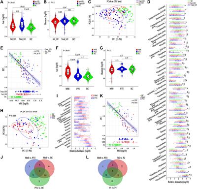 Gut Microbiota Participates in Antithyroid Drug Induced Liver Injury Through the Lipopolysaccharide Related Signaling Pathway